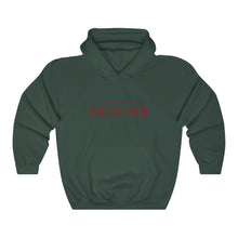 Load image into Gallery viewer, EWE UNISEX ALIGNED™ HOODIE